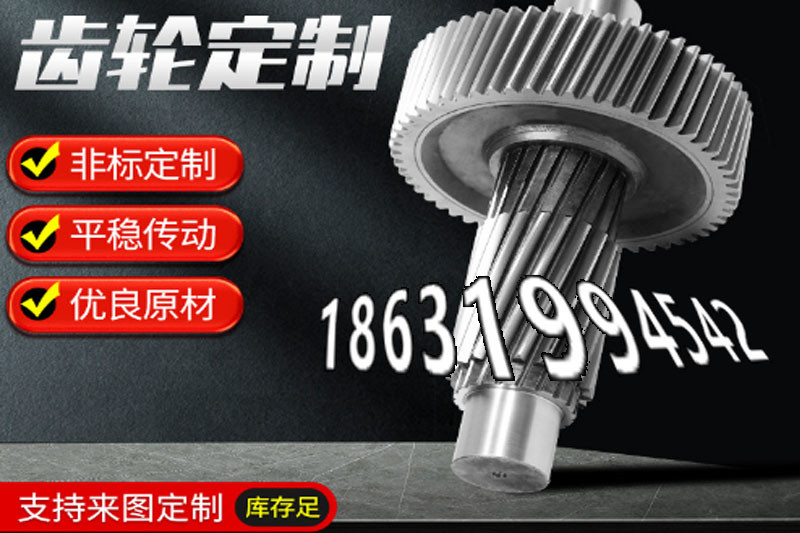 传动齿轮源头厂家